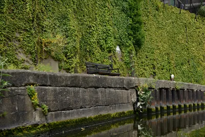 DSC_2749 (Large).JPG